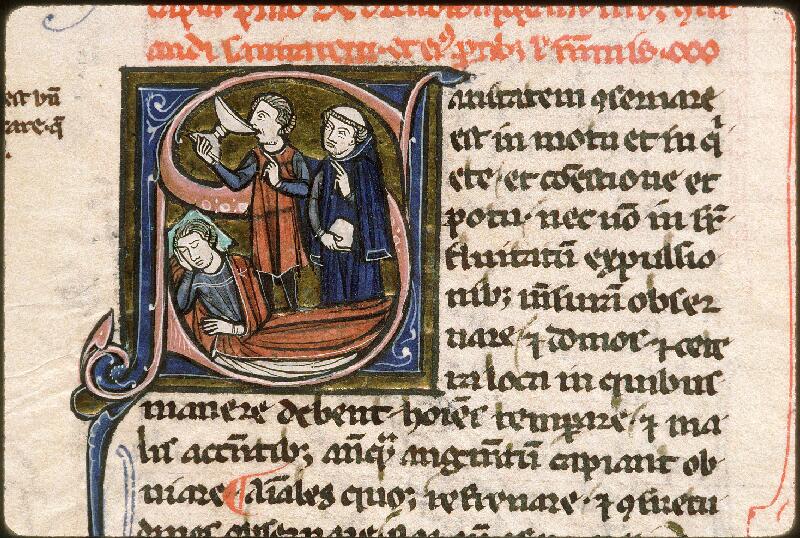 Avignon, Bibl. mun., ms. 1019, f. 031v - vue 1