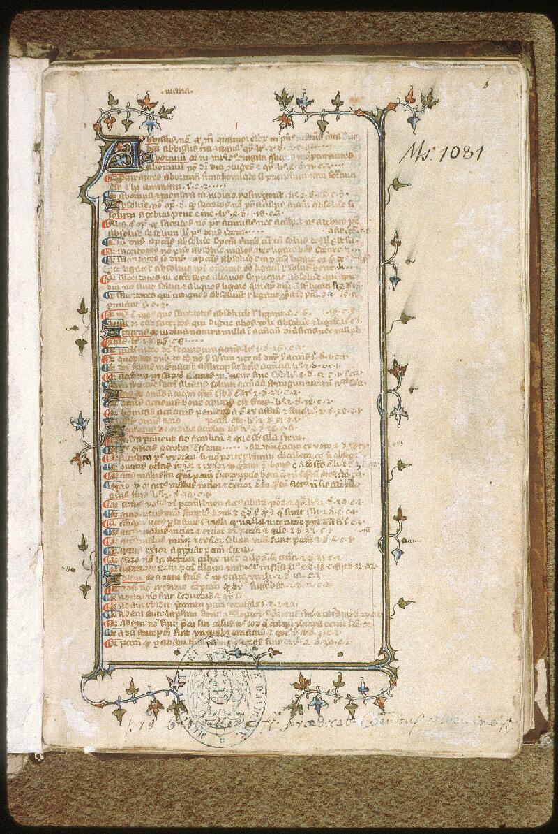 Avignon, Bibl. mun., ms. 1081, f. 001 - vue 2