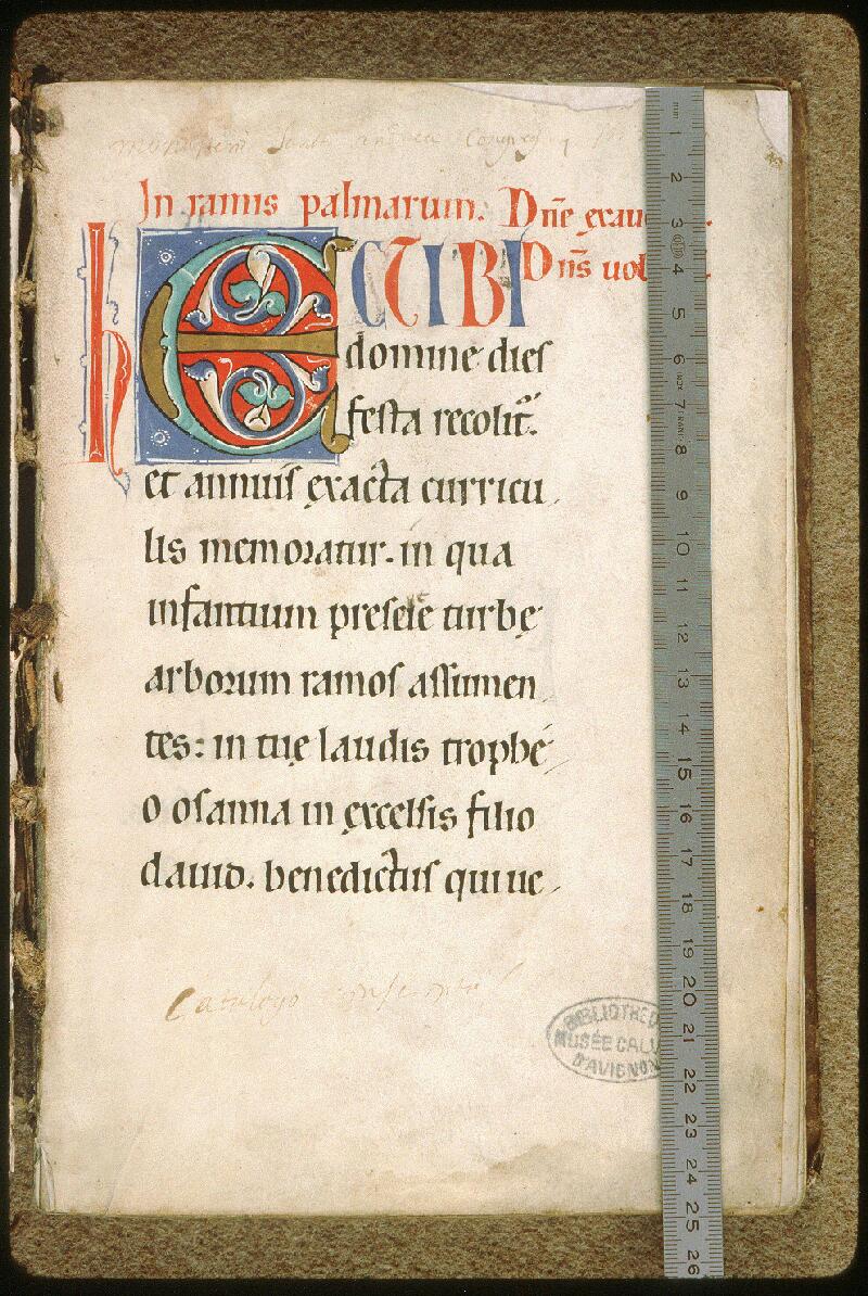 Avignon, Bibl. mun., ms. 5997, f. 001 - vue 1