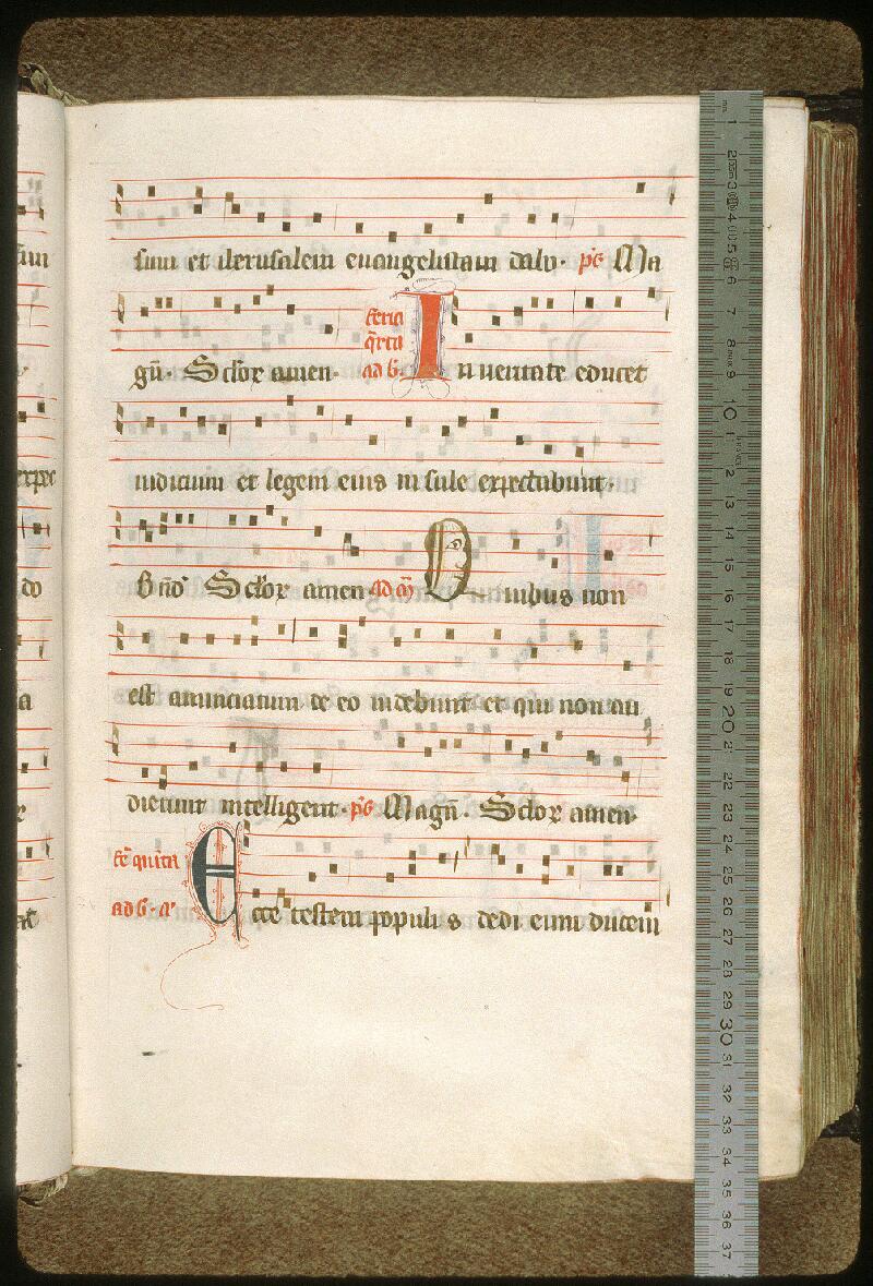 Avignon, Bibl. mun., ms. 6711, f. 039 - vue 1