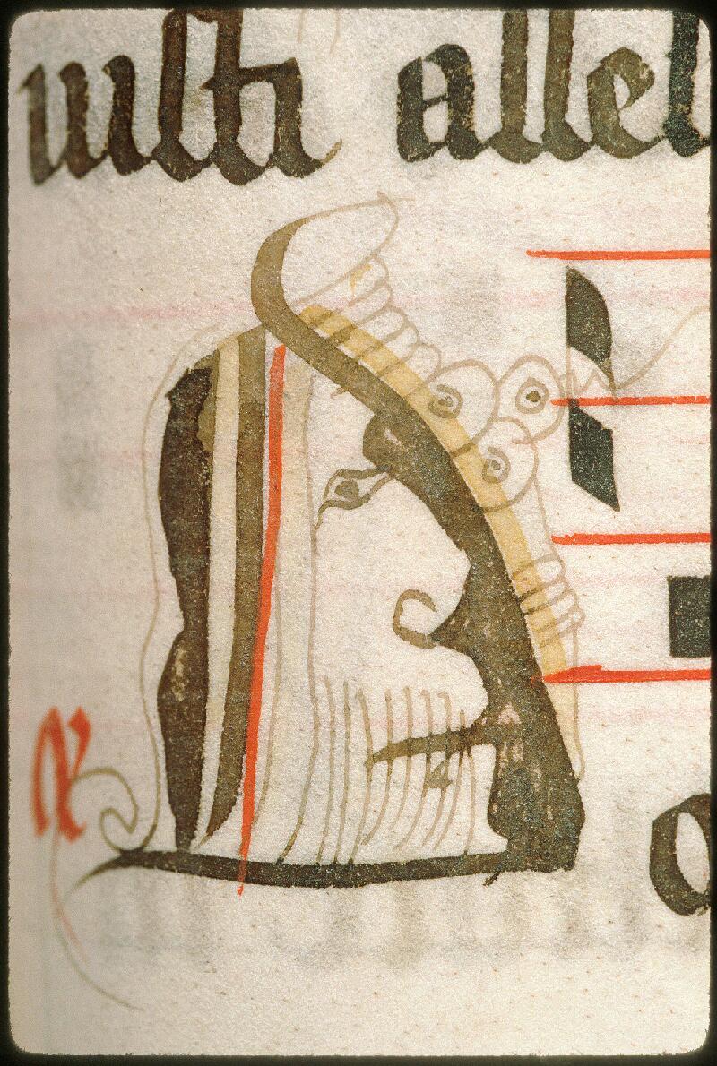 Avignon, Bibl. mun., ms. 6711, f. 050