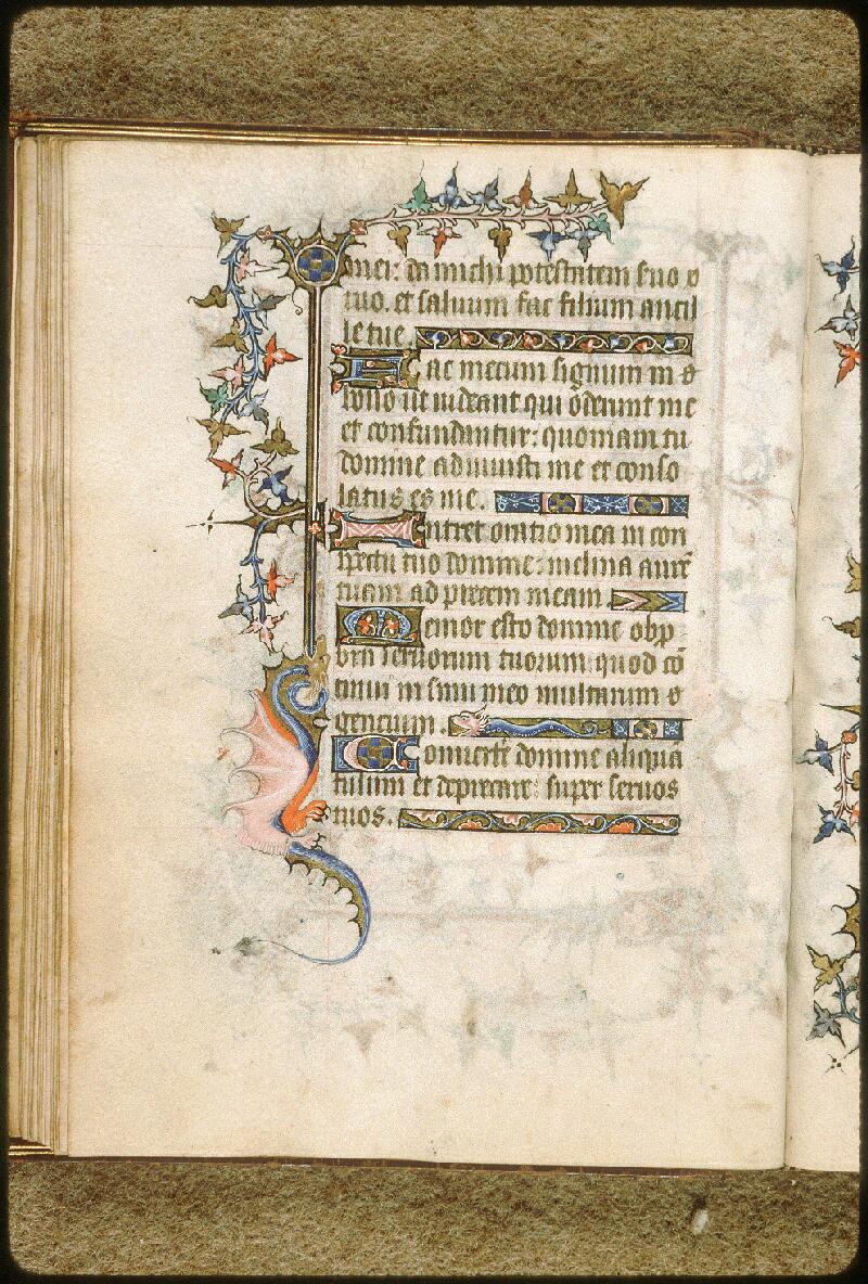 Avignon, Bibl. mun., ms. 6733, f. 024v - vue 1