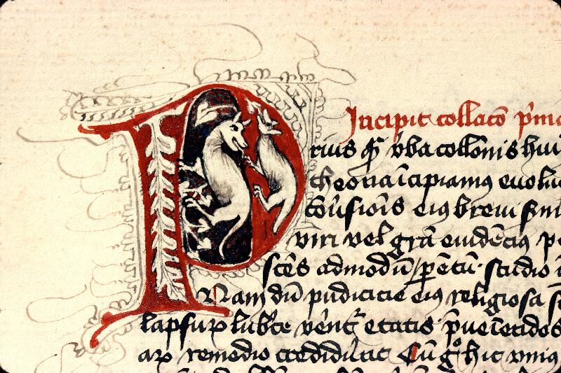 Besançon, Bibl. mun., ms. 0177, f. 155v