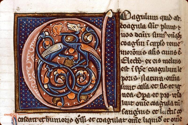 Besançon, Bibl. mun., ms. 0457, f. 074v - vue 2