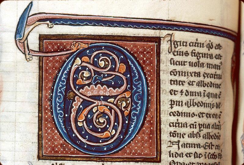 Besançon, Bibl. mun., ms. 0457, f. 081v