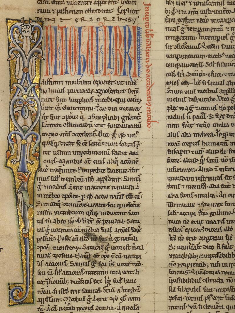 Boulogne-sur-Mer, Bibl. mun, ms. 0197, f. 053v