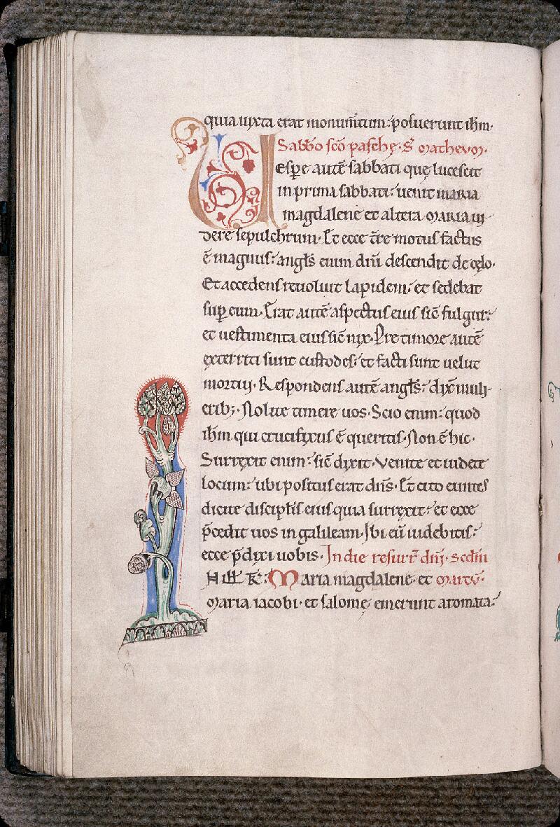 Cambrai, Bibl. mun., ms. 1048, f. 074v - vue 1