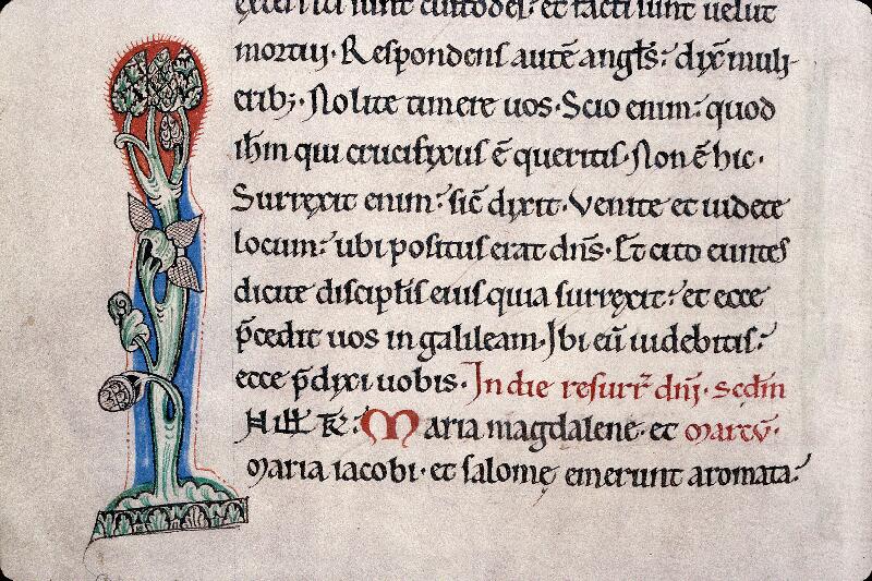 Cambrai, Bibl. mun., ms. 1048, f. 074v - vue 2