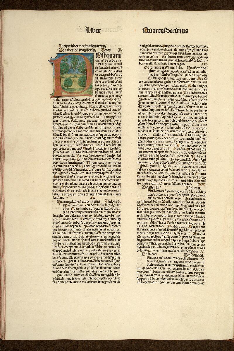 Cambrai, Bibl. mun., inc. D 004 - vue 26