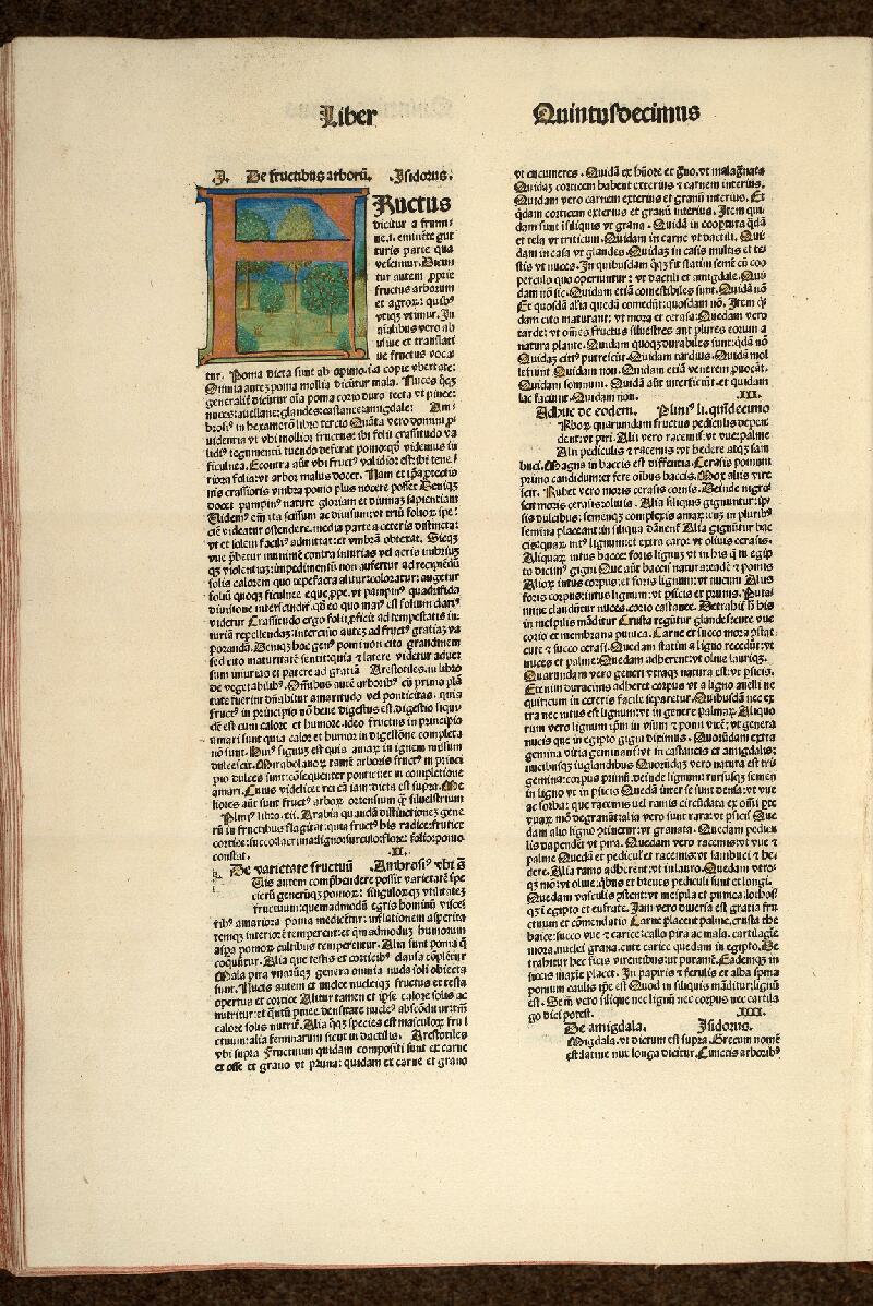 Cambrai, Bibl. mun., inc. D 004 - vue 28