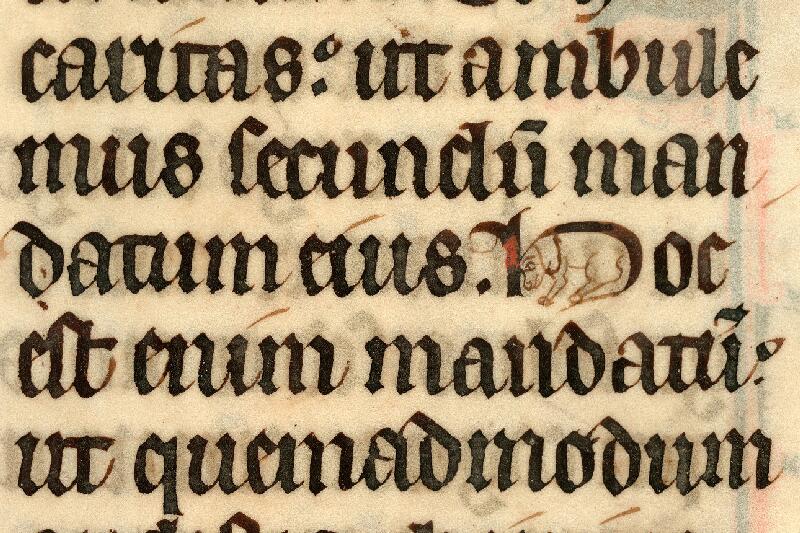 Cambrai, Bibl. mun., ms. 0034, f. 047v - vue 1