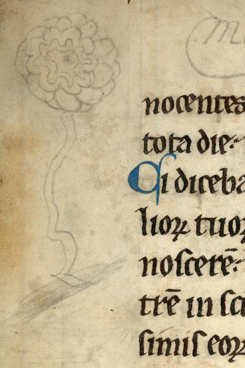 Cambrai, Bibl. mun., ms. 0096, f. 078v - vue 2