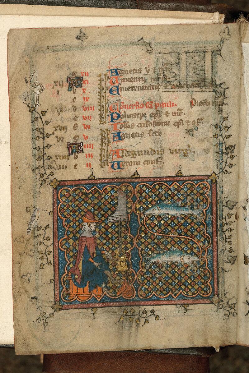 Cambrai, Bibl. mun., ms. 0133, f. 001v - vue 2