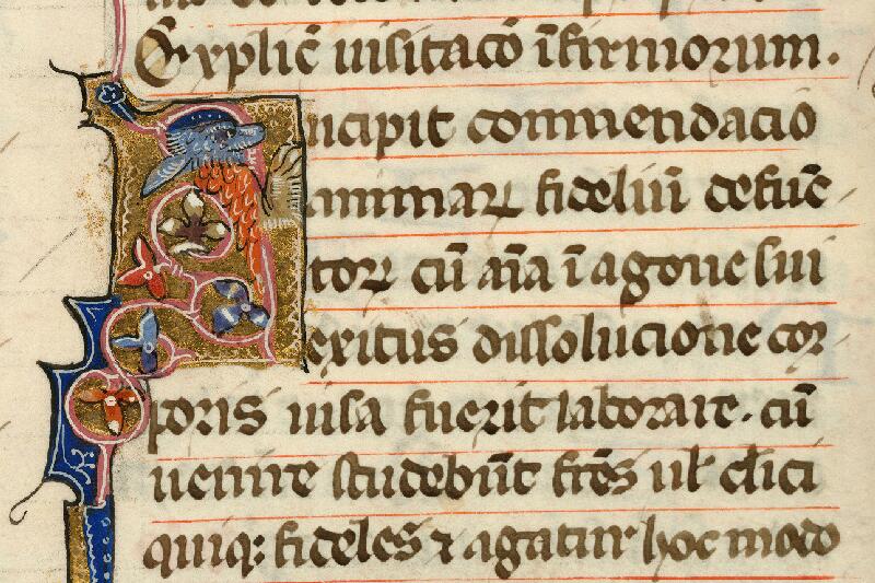 Cambrai, Bibl. mun., ms. 0180, f. 183v - vue 2