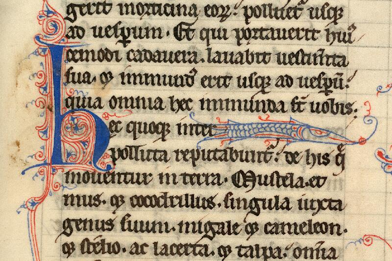 Cambrai, Bibl. mun., ms. 0345, f. 067