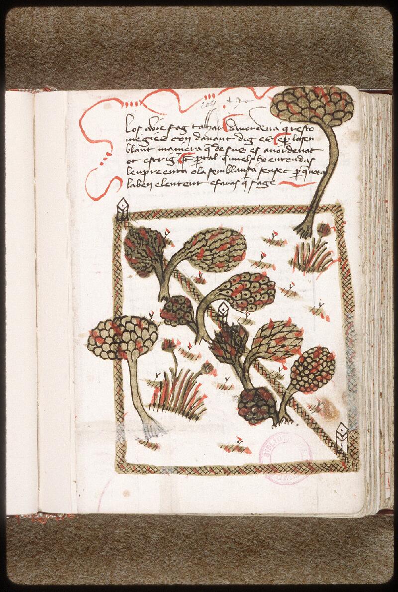 Carpentras, Bibl. mun., ms. 0327, f. 204