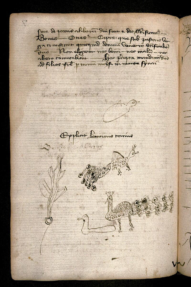 Carpentras, Bibl. mun., ms. 0003, f. 071v