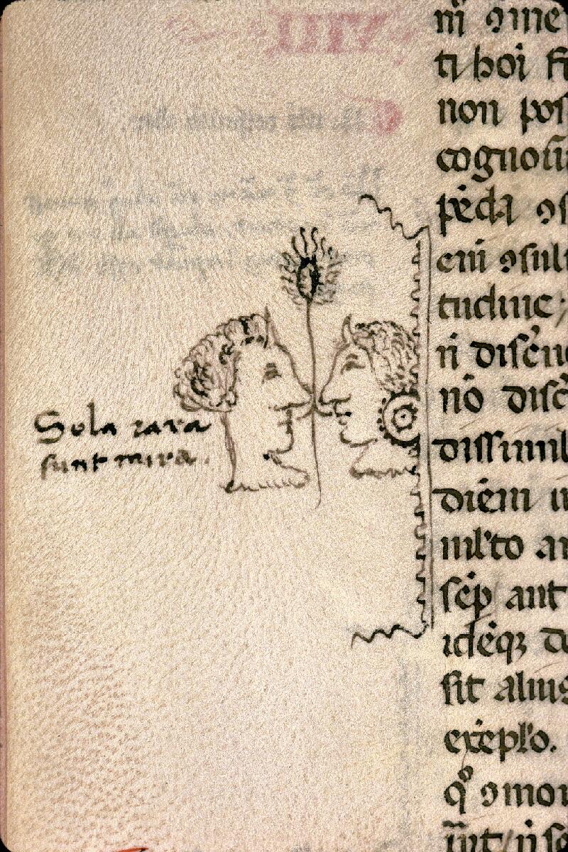 Carpentras, Bibl. mun., ms. 0036, f. 254v