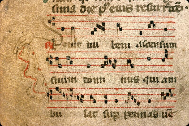 Carpentras, Bibl. mun., ms. 0043, f. 262v
