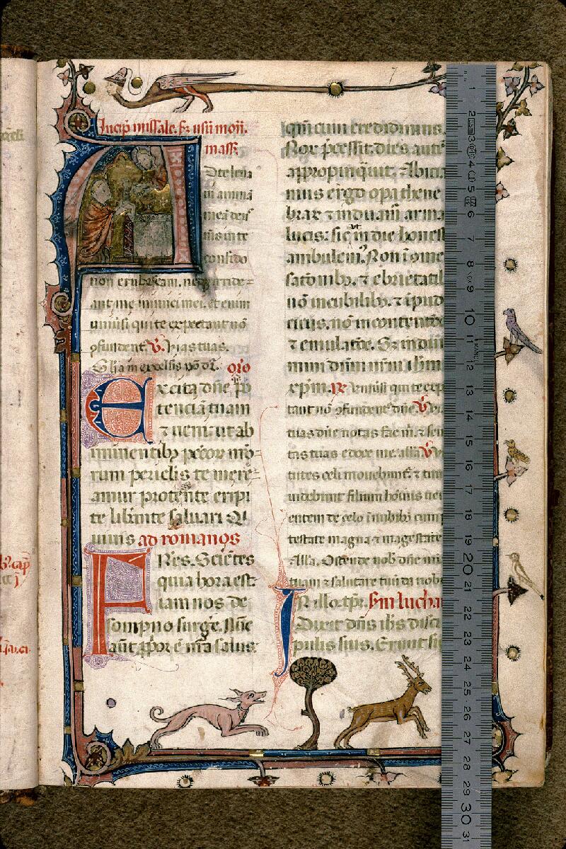 Carpentras, Bibl. mun., ms. 0090, f. 007 - vue 1