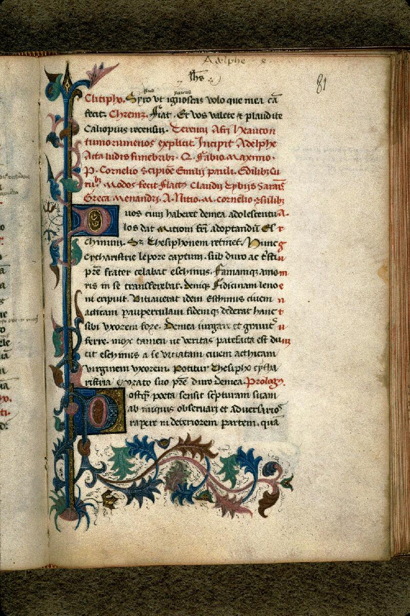 Carpentras, Bibl. mun., ms. 0367, f. 081