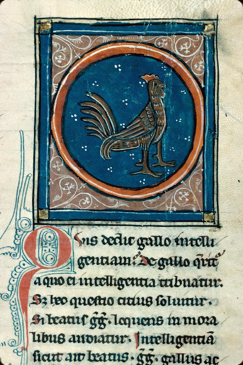 Chalon-sur-Saône, Bibl. mun., ms. 0014, f. 056