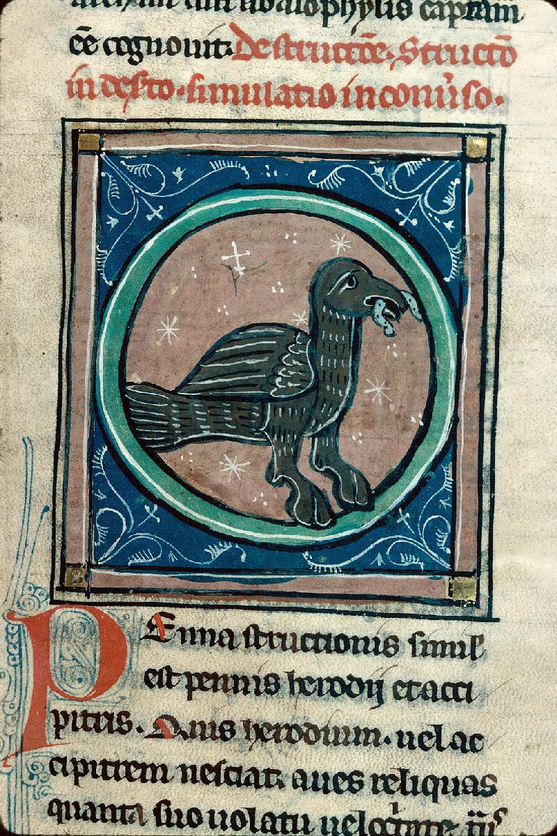 Chalon-sur-Saône, Bibl. mun., ms. 0014, f. 058