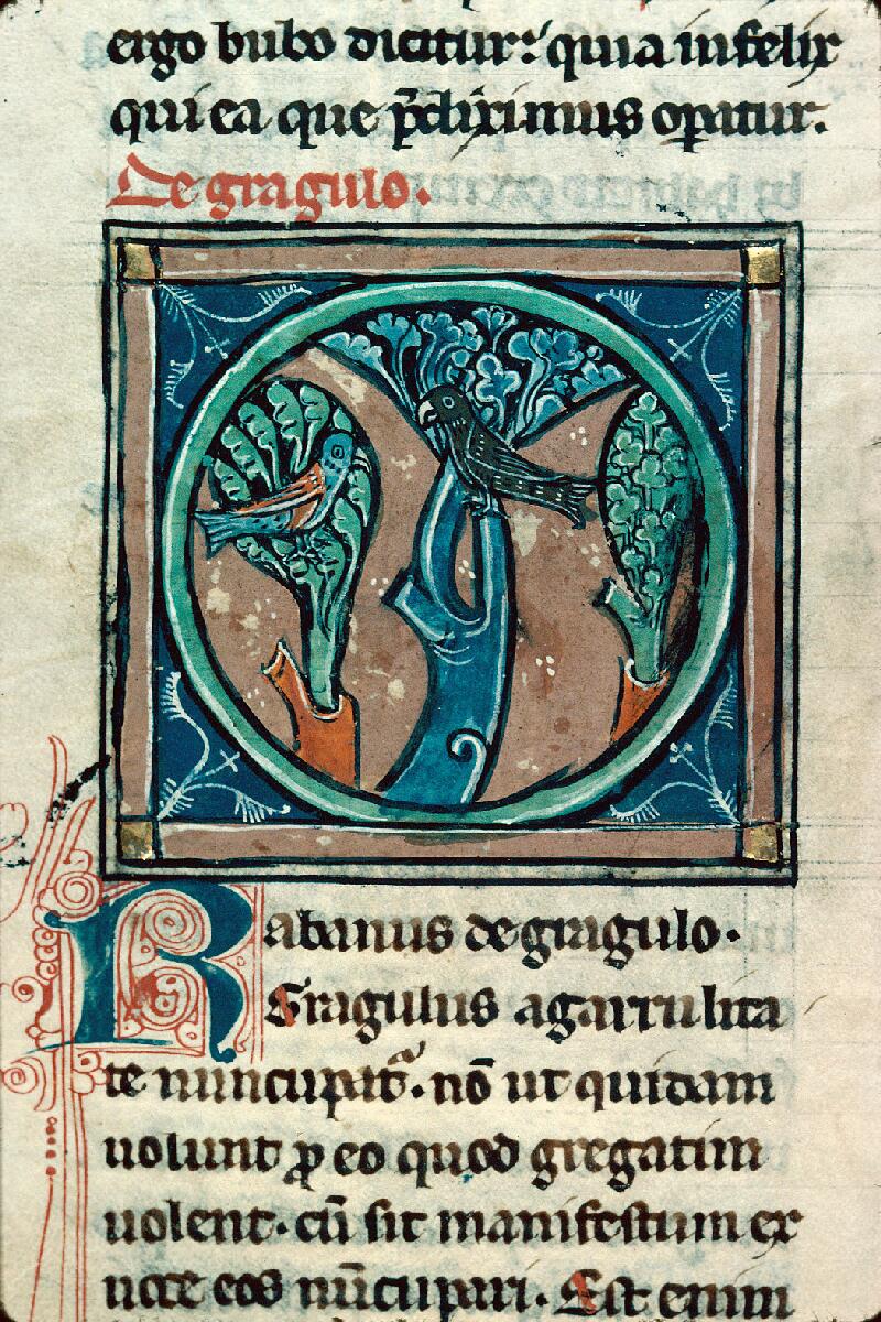 Chalon-sur-Saône, Bibl. mun., ms. 0014, f. 066v