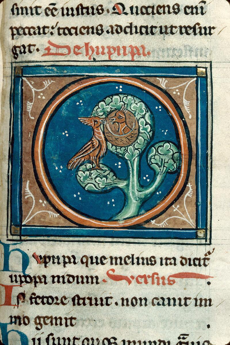 Chalon-sur-Saône, Bibl. mun., ms. 0014, f. 071