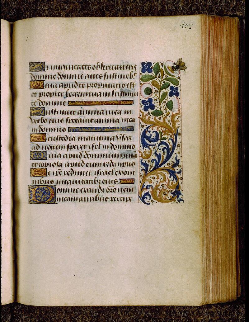 Chambéry, Bibl. mun., ms. 0001, f. 107 - vue 1
