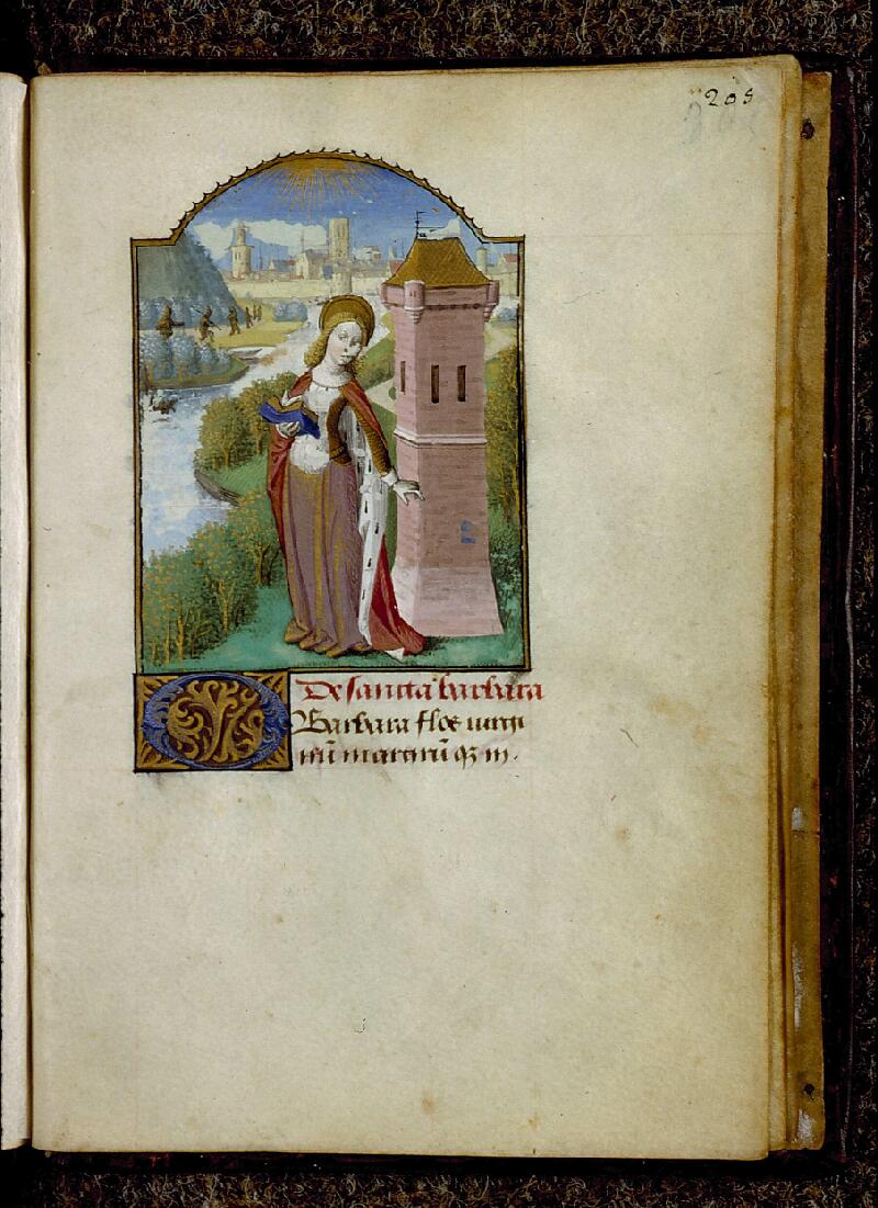 Chambéry, Bibl. mun., ms. 0001, f. 205 - vue 1