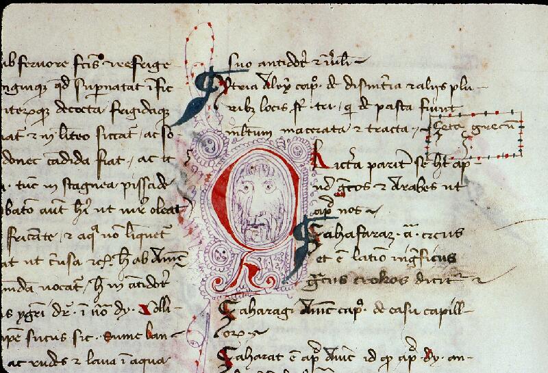 Chambéry, Bibl. mun., ms. 0016, f. 233
