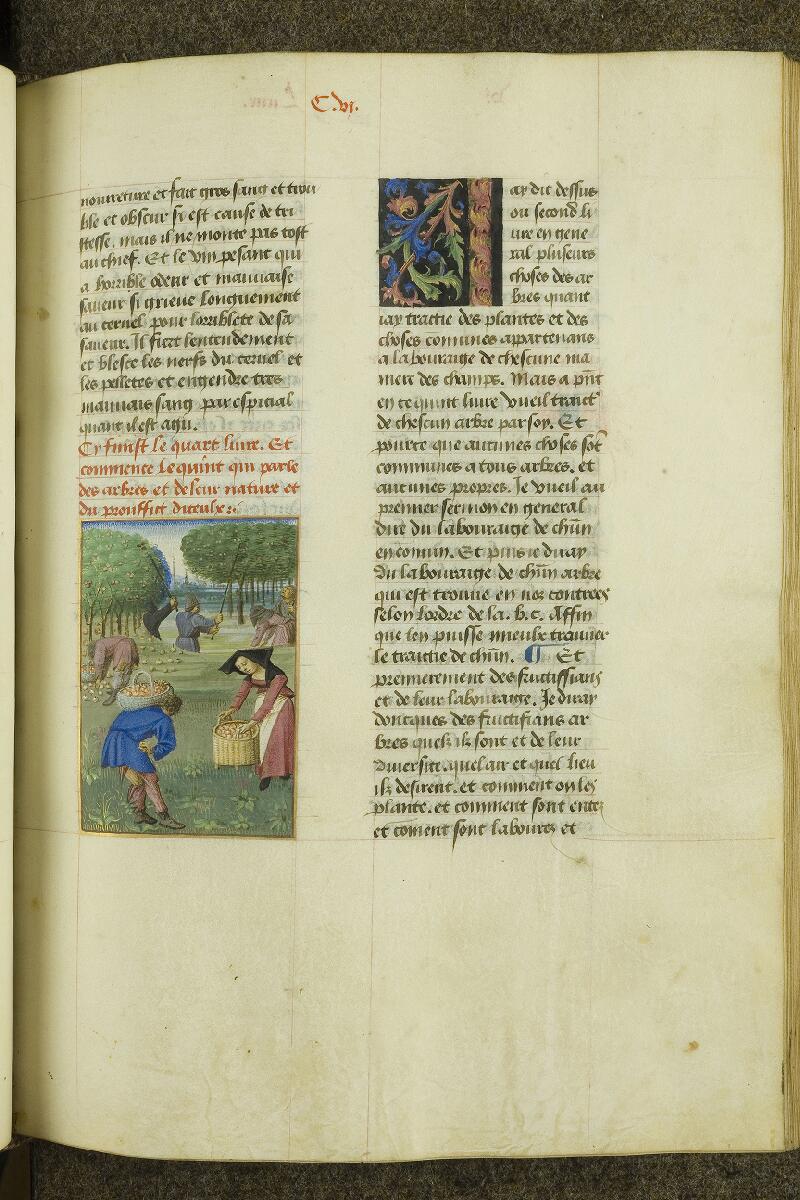 Chantilly, Bibl. du château, ms. 0340 (0603), f. 106 - vue 1
