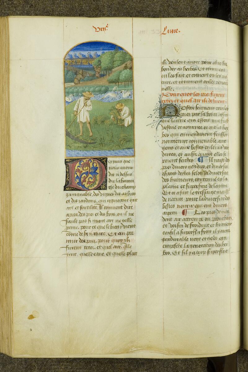 Chantilly, Bibl. du château, ms. 0340 (0603), f. 203v - vue 1