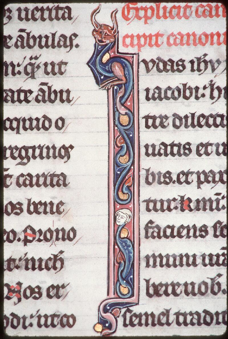 Châteaudun, Bibl. mun., ms. 0003, f. 222 - vue 2.