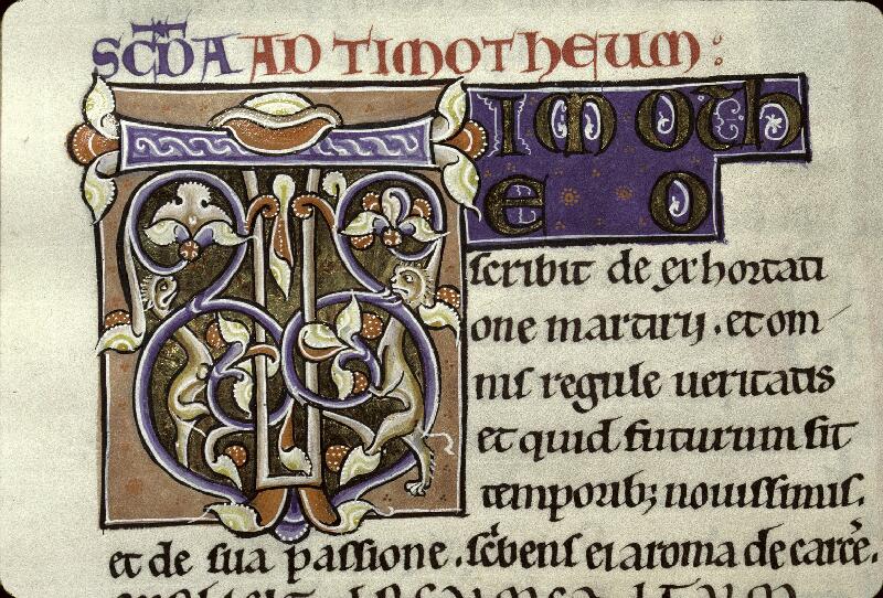 Clermont-Ferrand, Bibl. mun., ms. 0001, p. 496