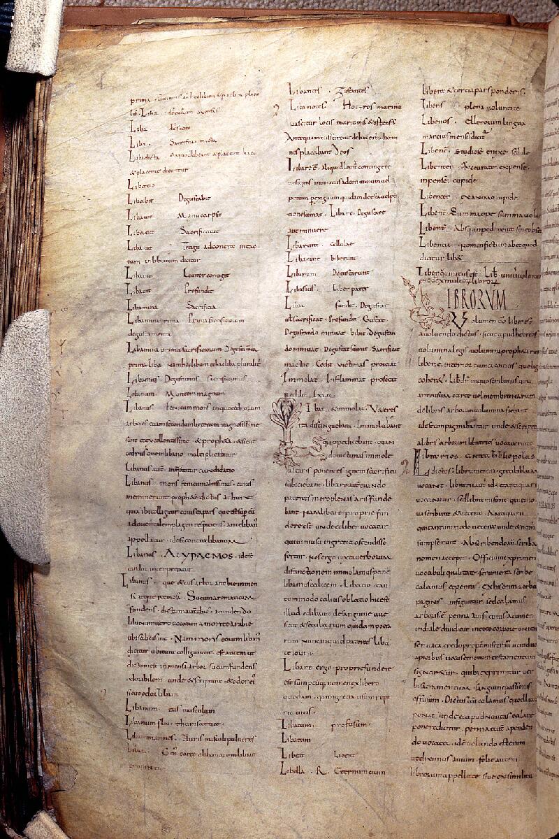 Clermont-Ferrand, Bibl. mun., ms. 0240, f. 180v - vue 1
