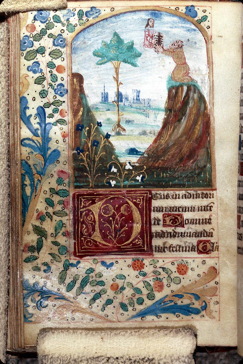 Clermont-Ferrand, Bibl. mun., ms. 1509, f. 046v - vue 1