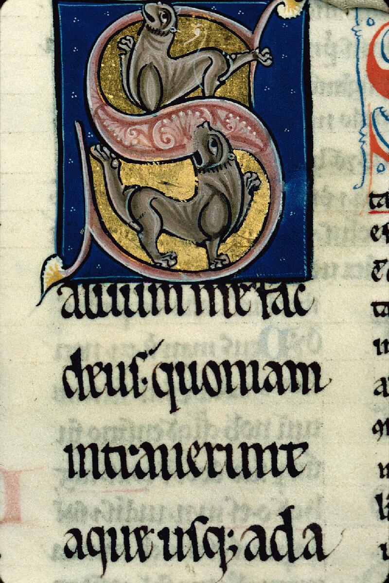 Dijon, Bibl. mun., ms. 0031, f. 110v