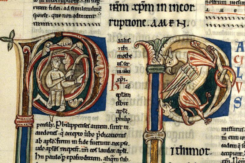 Dijon, Bibl. mun., ms. 0081, f. 179v - vue 2
