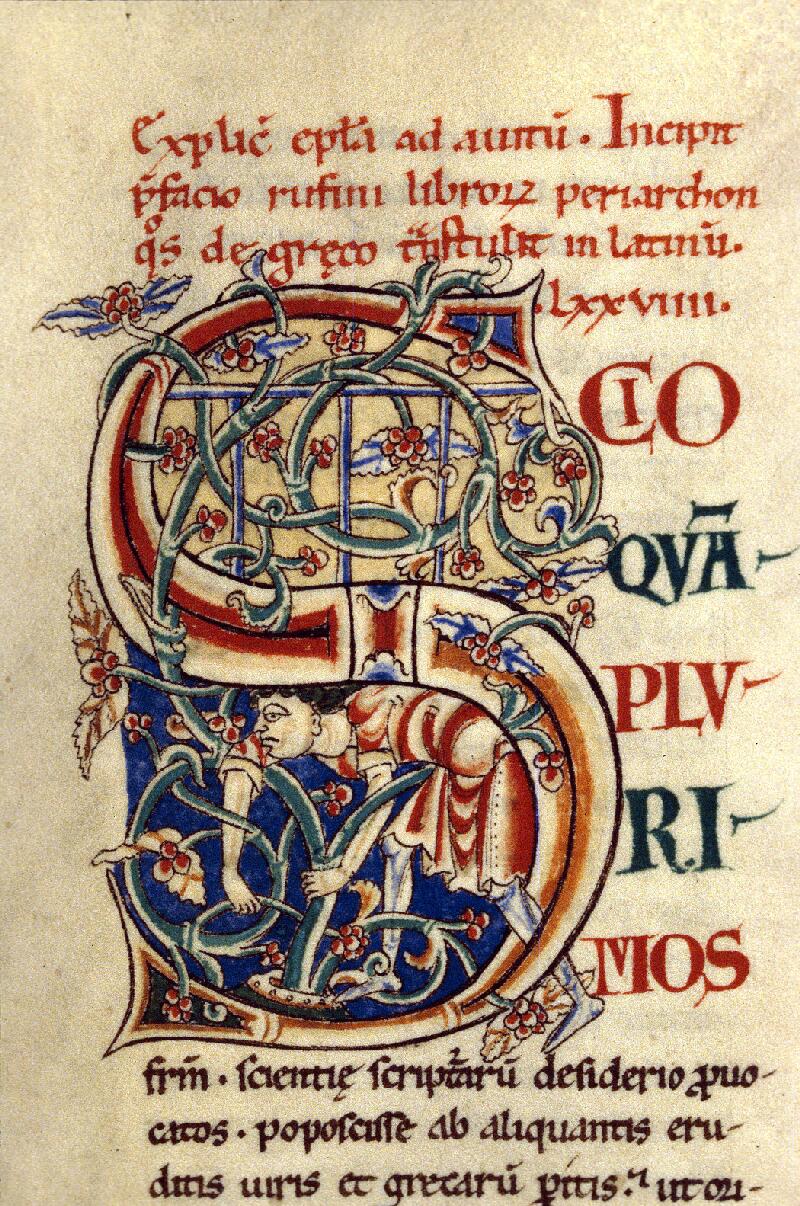 Dijon, Bibl. mun., ms. 0135, f. 114v - vue 1