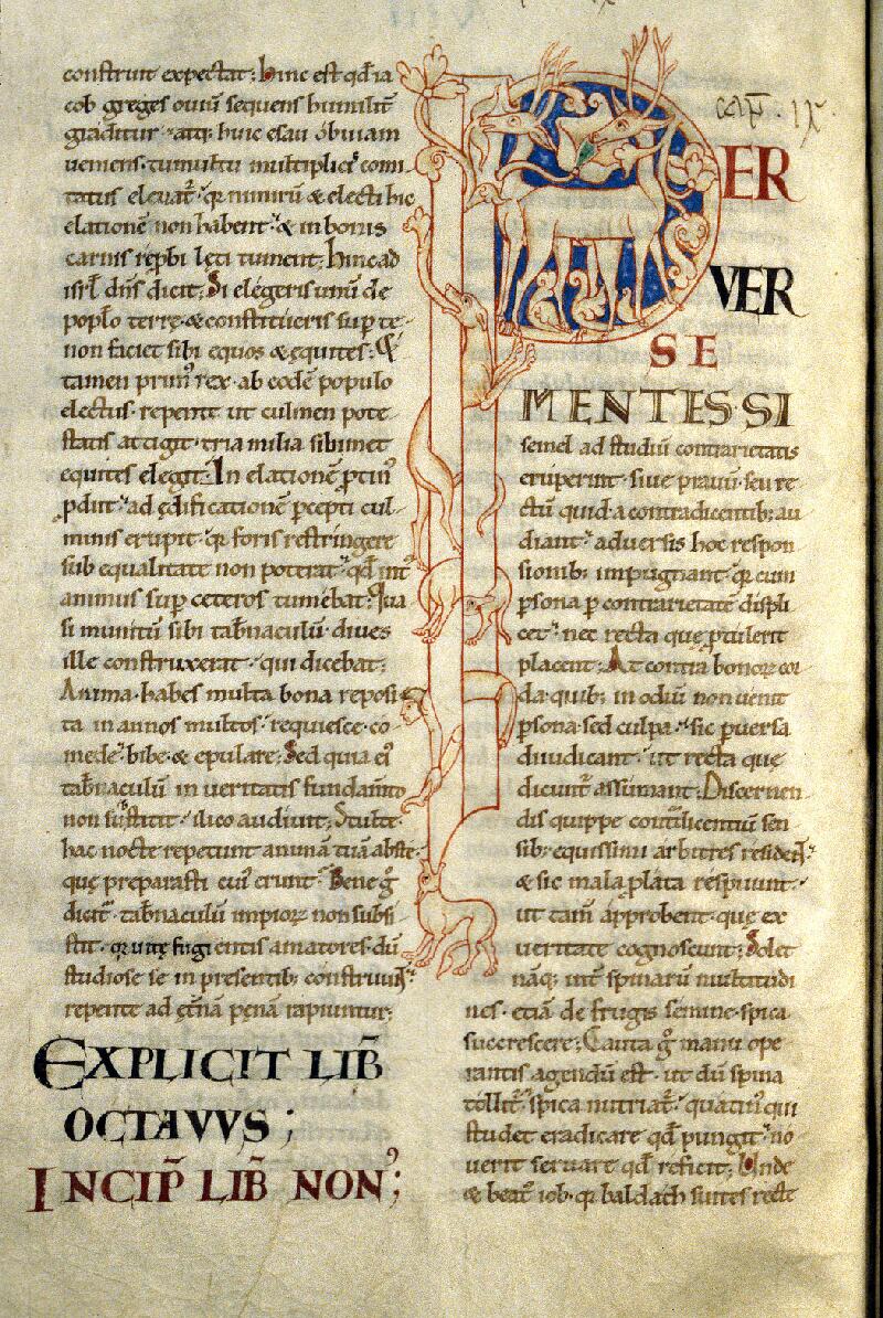 Dijon, Bibl. mun., ms. 0169, f. 062v