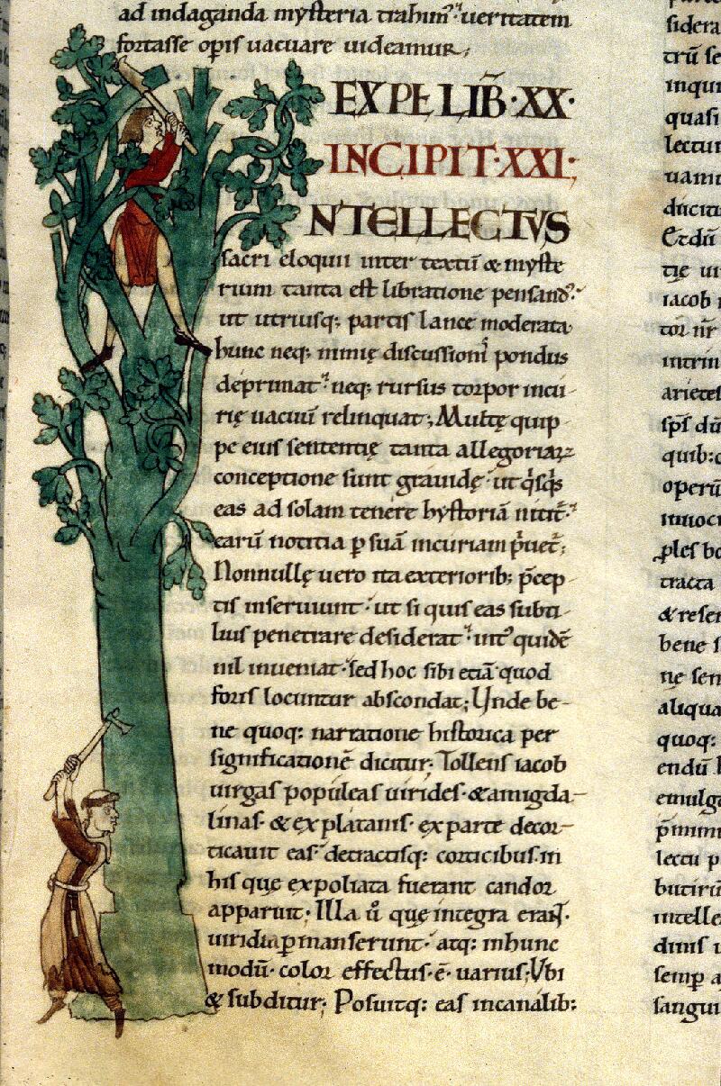 Dijon, Bibl. mun., ms. 0173, f. 041