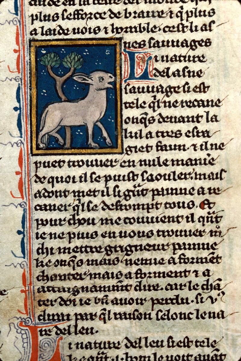 Dijon, Bibl. mun., ms. 0526, f. 021 - vue 2