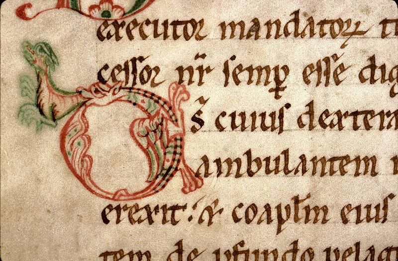 Douai, Bibl. mun., ms. 0093, f. 112v - vue 2