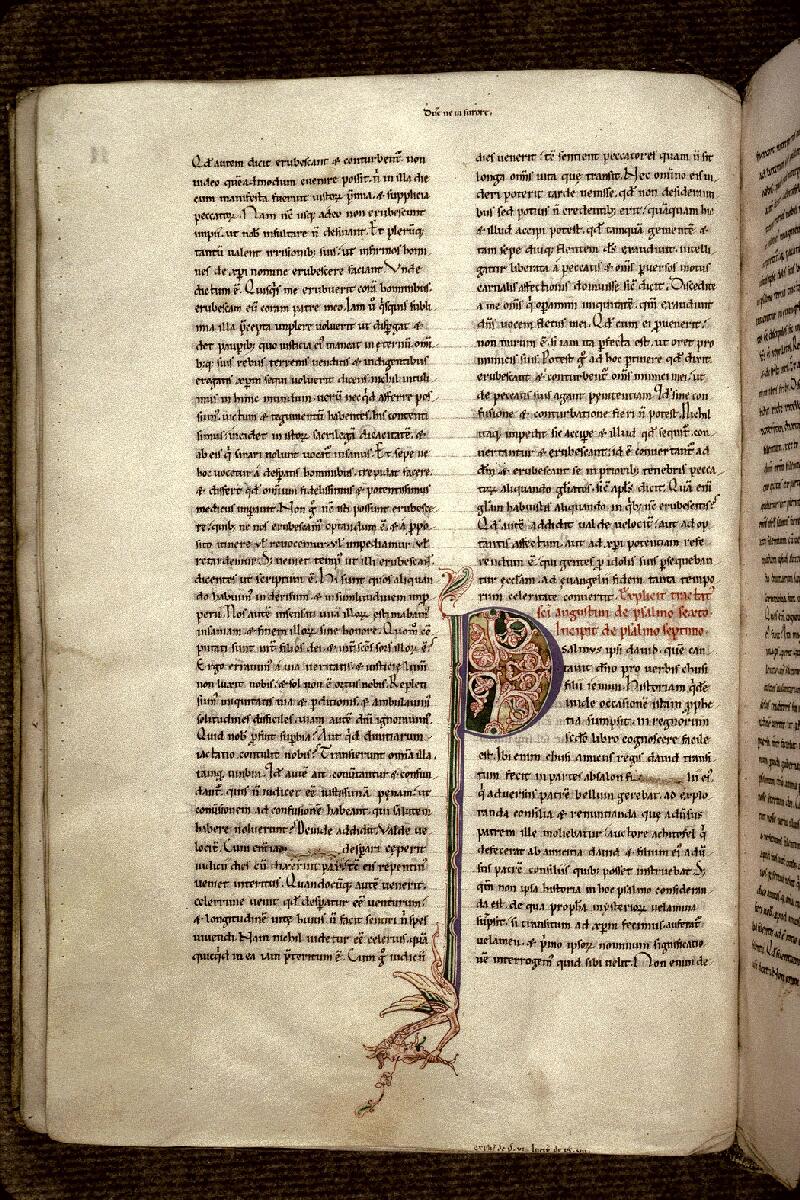 Douai, Bibl. mun., ms. 0250, t. I, f. 011v - vue 1