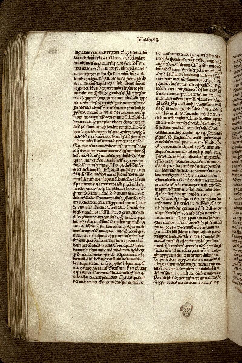 Douai, Bibl. mun., ms. 0250, t. II, f. 166v - vue 1