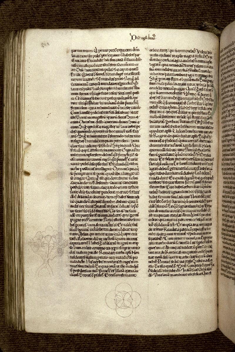 Douai, Bibl. mun., ms. 0250, t. II, f. 182v - vue 1