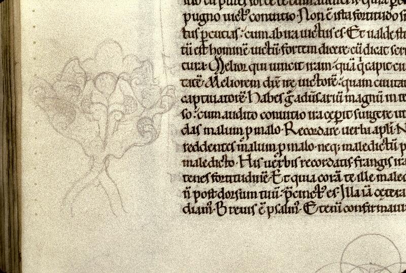 Douai, Bibl. mun., ms. 0250, t. II, f. 182v - vue 2