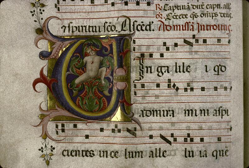 Douai, Bibl. mun., ms. 1171, f. 046v - vue 1